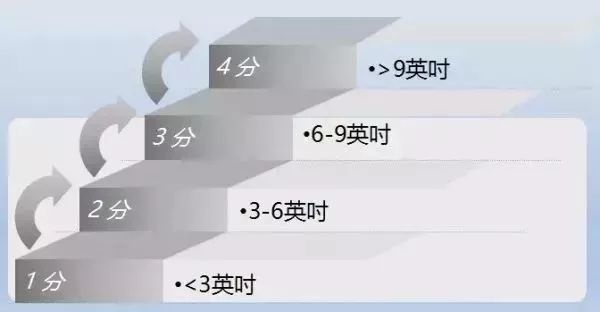 地毯機(jī),地毯背膠機(jī),涂層機(jī),定型機(jī),靜電植絨機(jī)