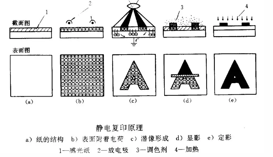 靜電植絨機,地毯機,地毯背膠機,涂層機,定型機