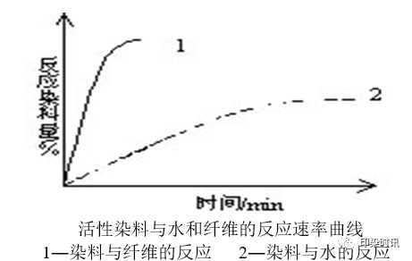 定型機,涂層機,地毯機,地毯背膠機,靜電植絨機