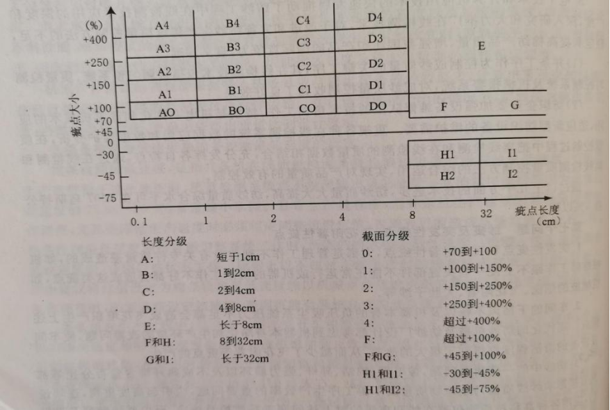 定型機,涂層機,地毯機,地毯背膠機,靜電植絨機